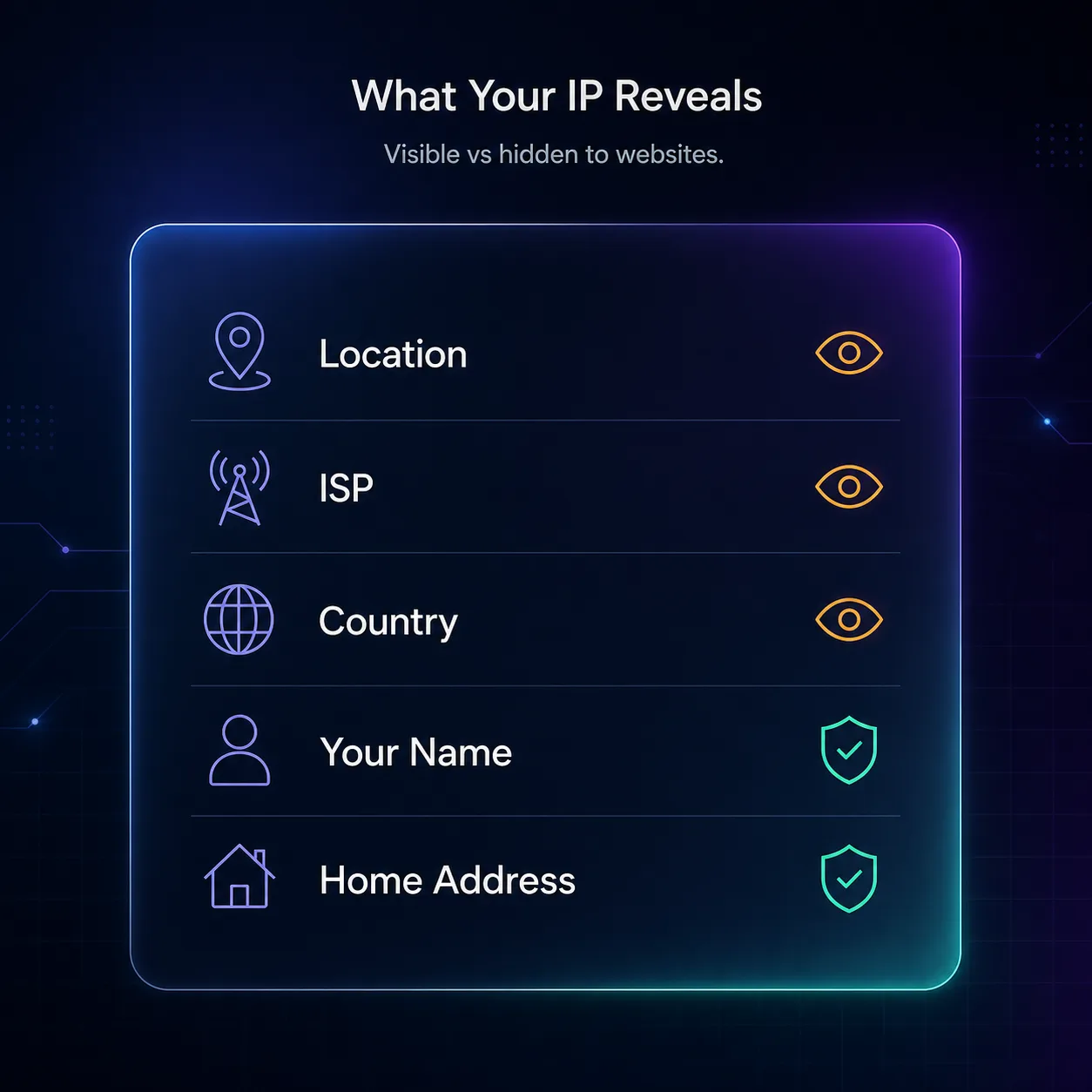 Infographic showing what your IP reveals: location, ISP, and country are visible to websites, while your name and home address stay hidden